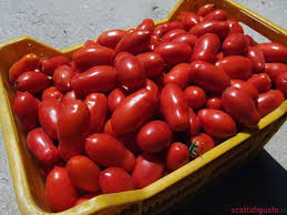 pomodori